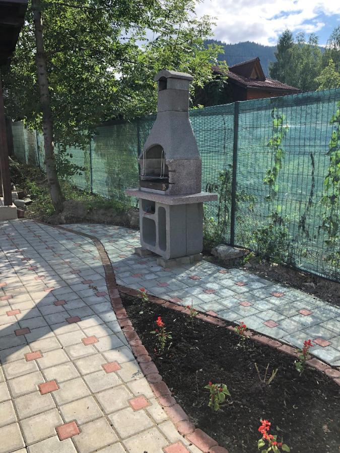 Villa Coca Câmpulung Moldovenesc エクステリア 写真
